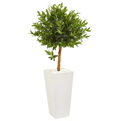 Homplanti 4' Olive Artificial Tree In Planter Uv (indoor/outdoor)