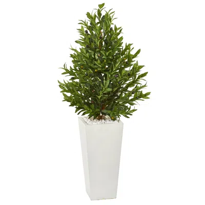 Homplanti 4' Olive Cone Artificial Tree In Planter Uv (indoor/outdoor)
