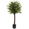 Homplanti 4' Olive Topiary Tree W/1056 Lvs