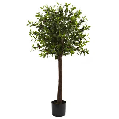 Homplanti 4' Olive Topiary Tree W/1056 Lvs