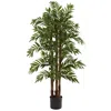 Homplanti 4' Parlour Palm Tree X 3 W/803 Lvs