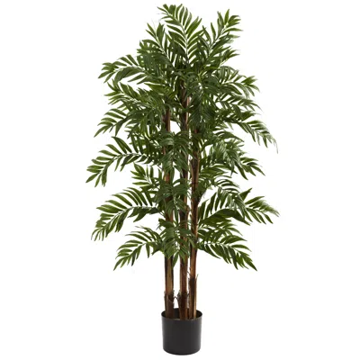 Homplanti 4' Parlour Palm Tree X 3 W/803 Lvs