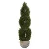 Homplanti 4' Pond Cypress Tree In Planter Uv Res (indoor/outdoor)