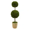 Homplanti 4' Preserved Boxwood Double Ball Topiary Tree In Planter