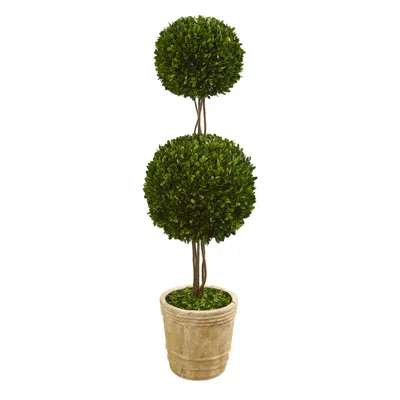 Homplanti 4' Preserved Boxwood Double Ball Topiary Tree In Planter
