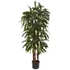 Homplanti 4' Raphis Palm Tree W/196 Lvs