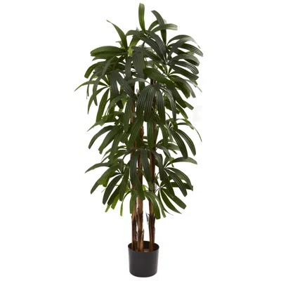 Homplanti 4' Raphis Palm Tree W/196 Lvs