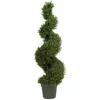 Homplanti 4' Rosemary Spiral Tree W/1512 Lvs (indoor/outdoor)