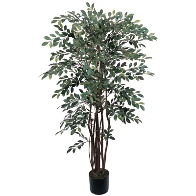 Homplanti 4' Ruscus Tree W/1461 Lvs