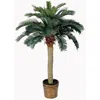 Homplanti 4' Sago Palm Tree W/28 Lvs