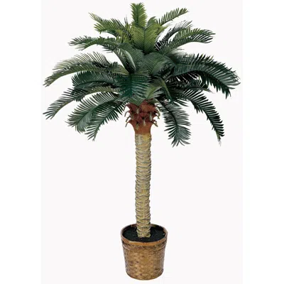 Homplanti 4' Sago Palm Tree W/28 Lvs