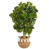 Homplanti 4' Schefflera Tree In Cotton Planter W/tassels (real Touch)