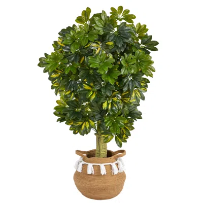 Homplanti 4' Schefflera Tree In Cotton Planter W/tassels (real Touch)