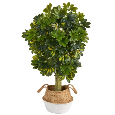 Homplanti 4' Schefflera Tree In Jute White Planter (real Touch)