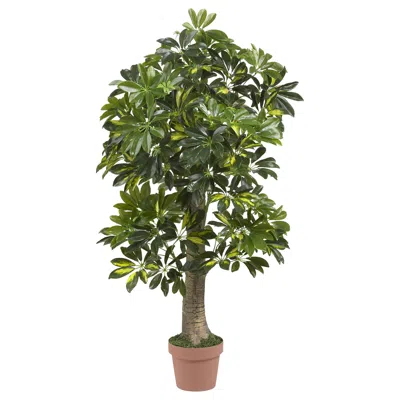 Homplanti 4' Schefflera Tree (real Touch)