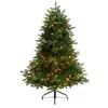 Homplanti 4' South Carolina Spruce Christmas Tree W/200 Leds
