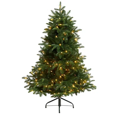 Homplanti 4' South Carolina Spruce Christmas Tree W/200 Leds In Green