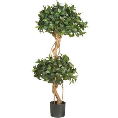 Homplanti 4' Sweet Bay Double Ball Topiary Tree W/1036 Lvs