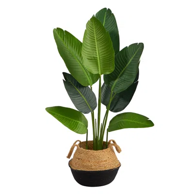 Homplanti 4' Travelers Palm Tree In Cotton & Jute Black Woven Planter In Burgundy