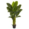 Homplanti 4' Triple Stalk Banana Tree (real Touch)