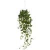 Homplanti 40" Pothos Bush Hanging Basket
