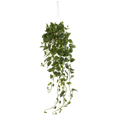 Homplanti 40" Pothos Bush Hanging Basket