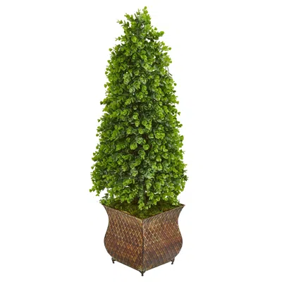 Homplanti 41" Eucalyptus Cone Topiary Tree In Planter (indoor/outdoor)