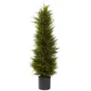 Homplanti 42" Cedar Tree