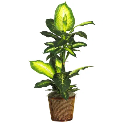 Homplanti 42" Golden Dieffenbachia W/basket Silk Plant In Green