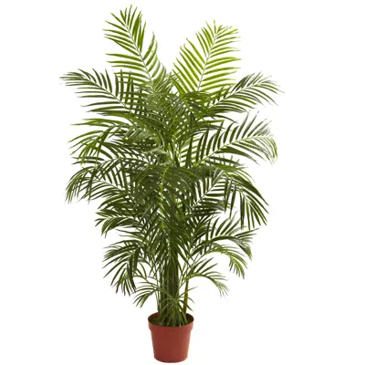 Homplanti 4.5' Areca Palm Uv Resistant X 8 W/837 Lvs (indoor/outdoor)