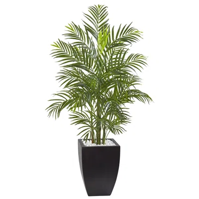 Homplanti 4.5' Areca Palm W/black Planter Uv Resist (indoor/outdoor)