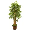 Homplanti 4.5' Bamboo Tree In Coiled Rope Planter