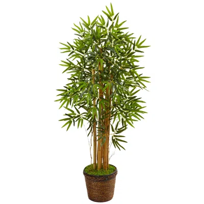 Homplanti 4.5' Bamboo Tree In Coiled Rope Planter