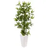 Homplanti 4.5' Bamboo Tree In White Tower Planter
