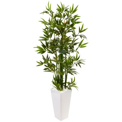 Homplanti 4.5' Bamboo Tree In White Tower Planter In Brown