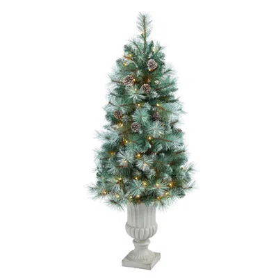 Homplanti 4.5' Brit Columbia Pine Xmas Tree W/100 Lightscones In Urn