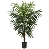 Homplanti 4.5' Bulb Areca Tree W/288 Lvs