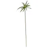 Homplanti 45" Cyperus Artificial Spray (set Of 12)