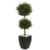 Homplanti 4.5' Cypress Top With Black Planter Uv Rest (indoor/outdoor)