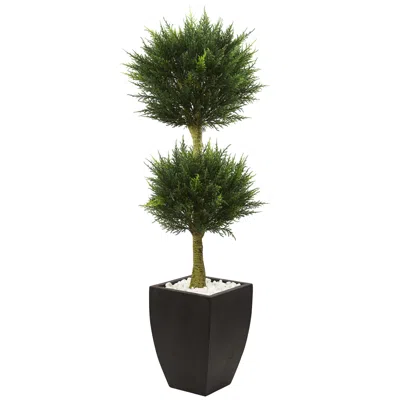 Homplanti 4.5' Cypress Top With Black Planter Uv Rest (indoor/outdoor)