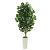 Homplanti 4.5' Ficus Artificial Tree In White Planter