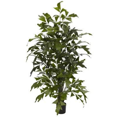 Homplanti 4.5' Fishtail Palm Tree W/594 Lvs