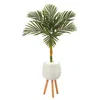 Homplanti 4.5' Golden Cane Palm Tree In White Planter With Stand