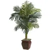 Homplanti 4.5' Golden Cane Palm W/decorative Container