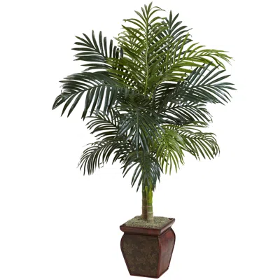 Homplanti 4.5' Golden Cane Palm W/decorative Container