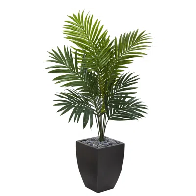 Homplanti 4.5' Kentia Palm Tree In Black Wash Planter