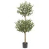 Homplanti 4.5' Olive Double Topiary Tree W/1794 Lvs