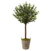 Homplanti 4.5' Olive Topiary Tree With Farmhouse Planter
