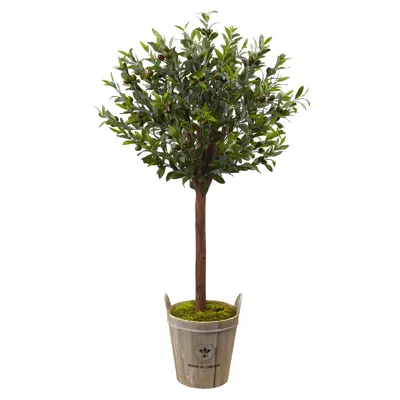 Homplanti 4.5' Olive Topiary Tree With Farmhouse Planter