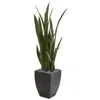 Homplanti 4.5' Sansevieria Artificial Plant In Black Planter